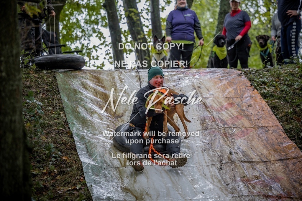 nelerasche_Hunsrück_Sa1430-1500_150-final | nelerasche