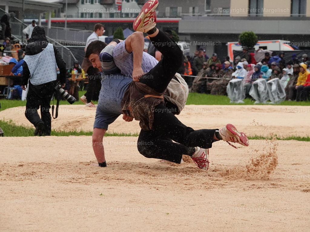 DSC07526 | Schwingen - Realisiert mit Pictrs.com