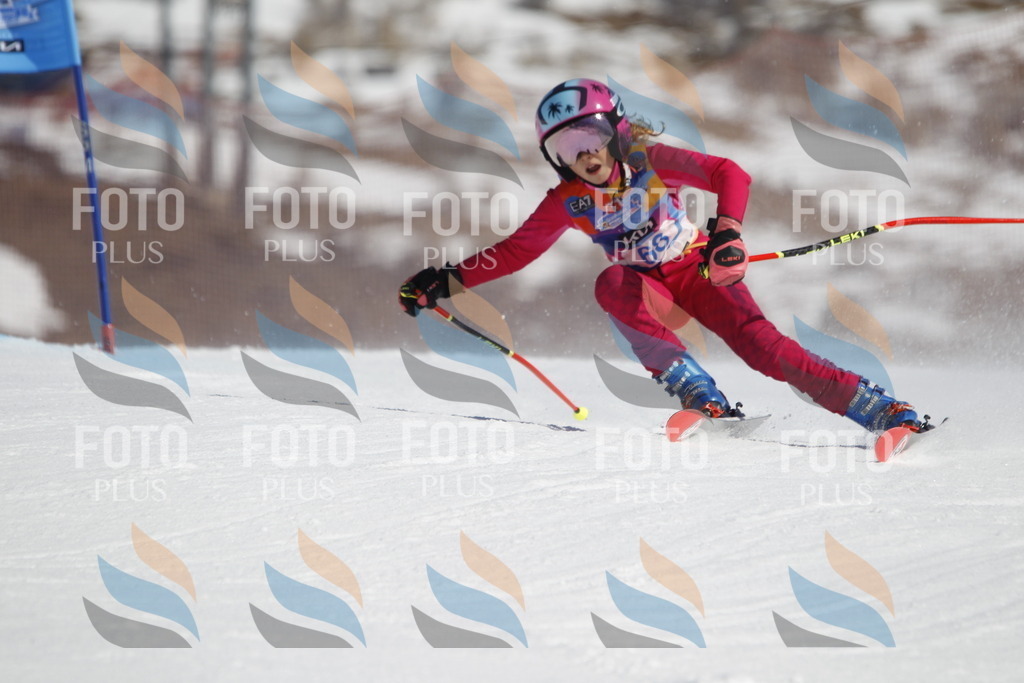 _U3G9771 | holidayphoto