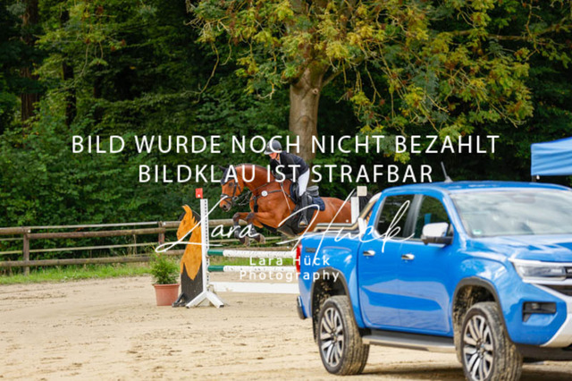 _62_9007 | larahueckfotografie