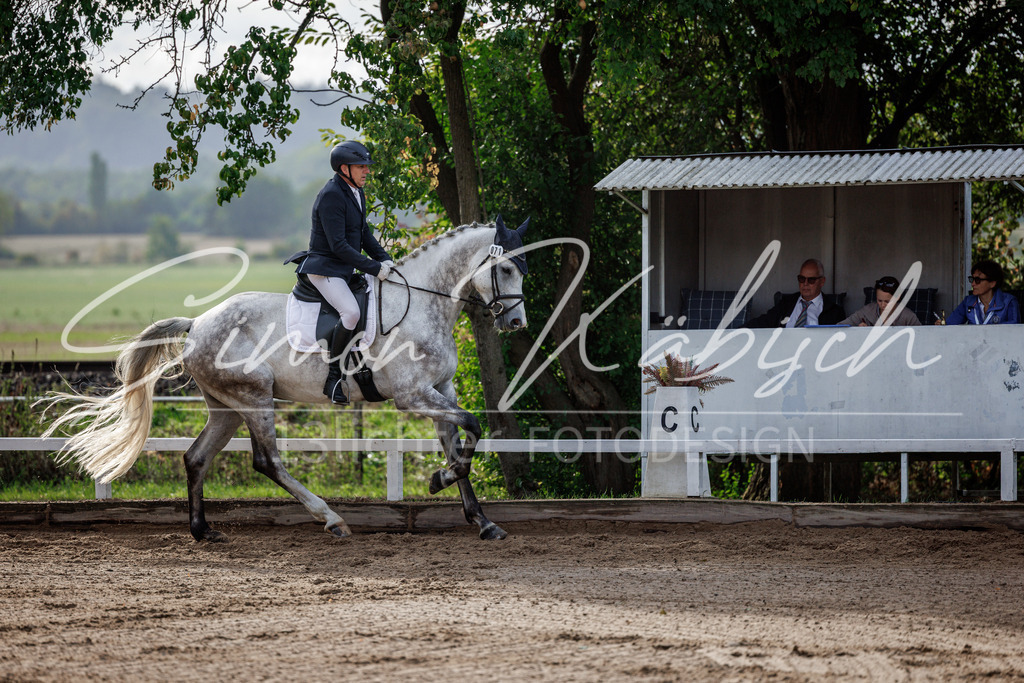 20260905-_3LI6988 | Tierfotografie Pferde, Hunde, Katzen, Haustiere.
Turnierfotografie Reitturniere, Reiten, Springreiten, Dressur in Hanau, dem Main-Kinzig-Kreis und dem Rhein-Main- Gebiet um Frankfurt