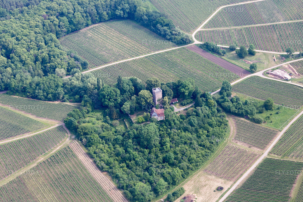 Vue aérienne: Château Saint Paul sur le Sonnenberg à Wissembourg dans le département Bas Rhin, France. Photo: IMG_100689.jpg prise le 05/06/2017 par Werner Riehm/FLY-FOTO.euRésolution de l'original: 5472 x 3648 px