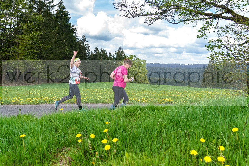 Rennsteiglauf 2023 | Rennsteiglauf 2023 am 12. Mai 2023 - Marathon-Strecke Neuhaus/Rwg. - Schmiedefeld