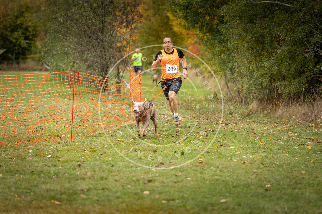 Pfotenfotografie_DV3A3989 | Hundefotografie, Tierfotograf, Pfotenfotografie, Fotoshooting Hund, Hunde Portrait, Hundesport, Hundeportraits, Heideshooting, Hunde, Sportfotograf, Hundefotograf, Turnierhundsport, THS,  - Realisiert mit Pictrs.com