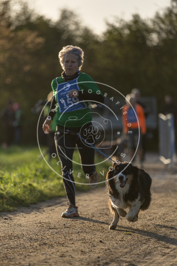 Pfotenfotografie.de_DV3A2577 | Hundefotografie, Tierfotograf, Pfotenfotografie, Fotoshooting Hund, Hunde Portrait, Hundesport, Hundeportraits, Heideshooting, Hunde, Sportfotograf, Hundefotograf, Turnierhundsport, THS, canicross - Realisiert mit Pictrs.com