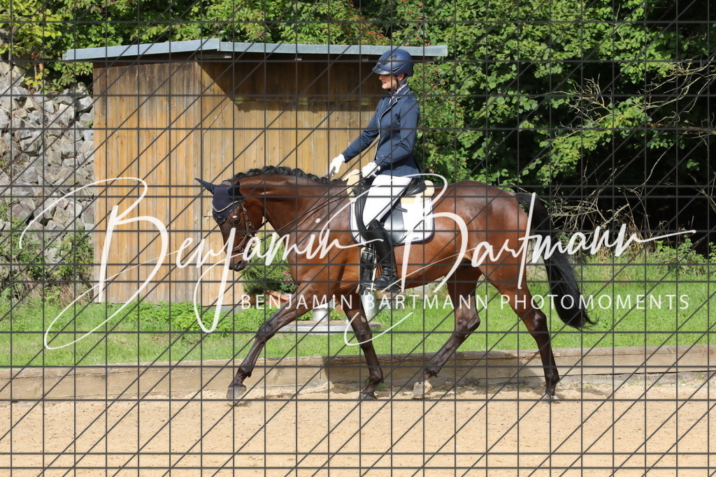 AZ2A2012 | Benjamin Bartmann Photomoments