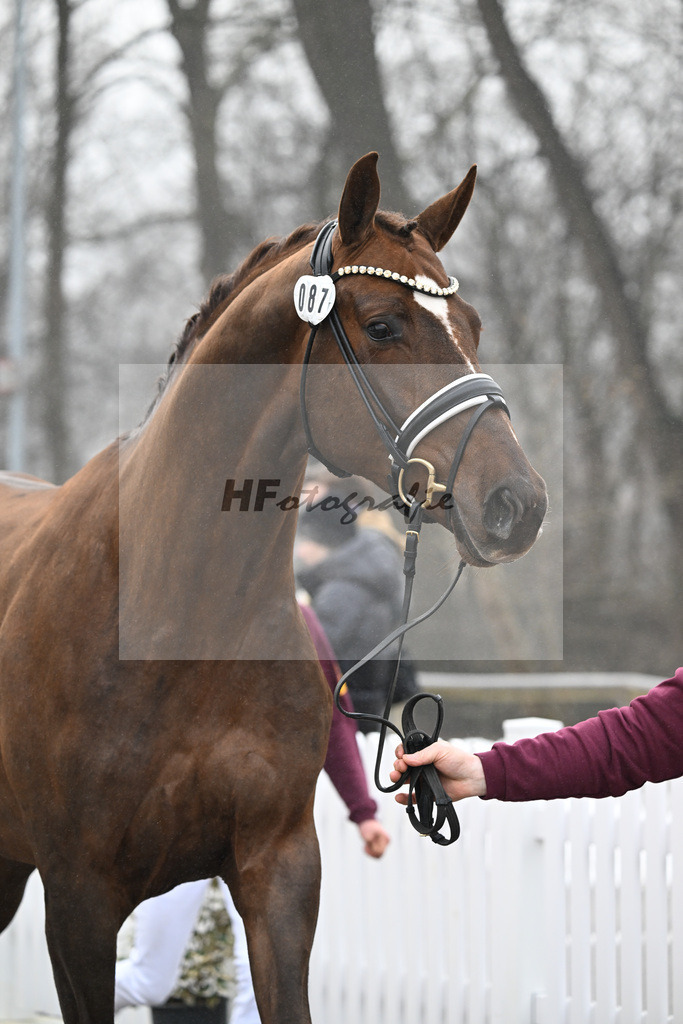 Impressionen_Harter Boden_3260134 | hf-fotografie - Realizzato con Pictrs.com