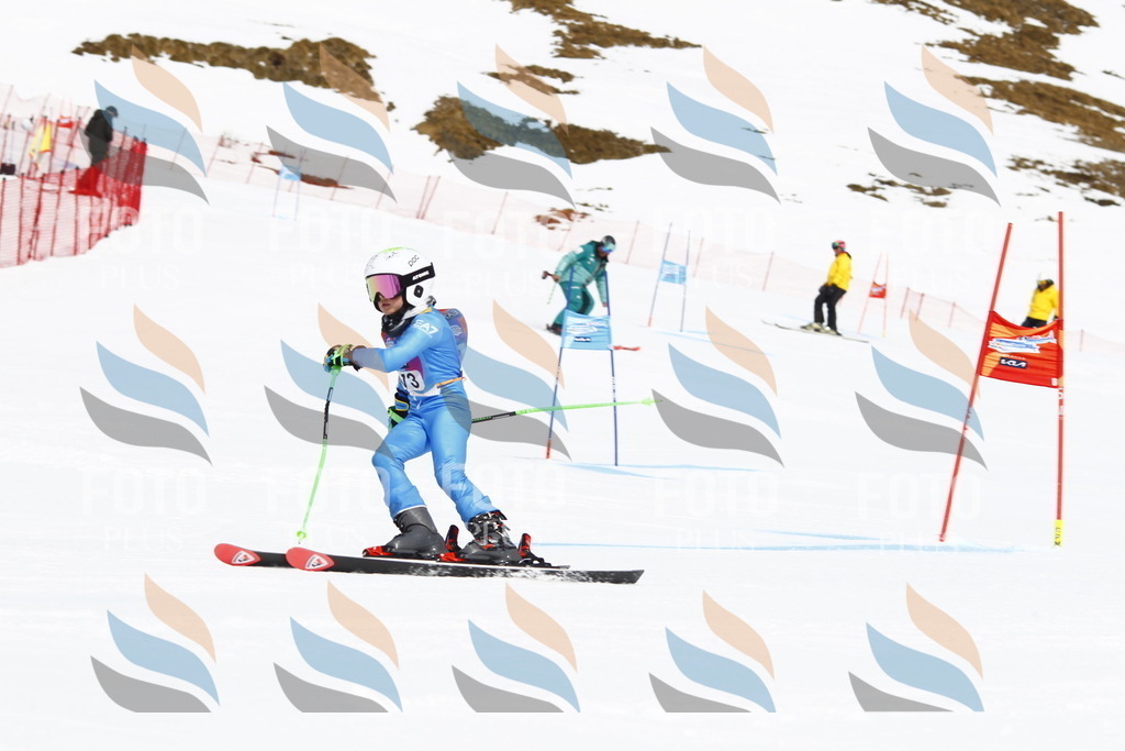 _U3G4571 | holidayphoto