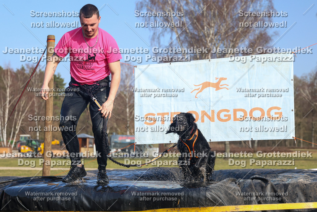 Dog Paparazzi - Strongdog North Mrz26-3446 | Dog Paparazzi Jeanette Grottendiek Fotografie & Videografie - Realisiert mit Pictrs.com