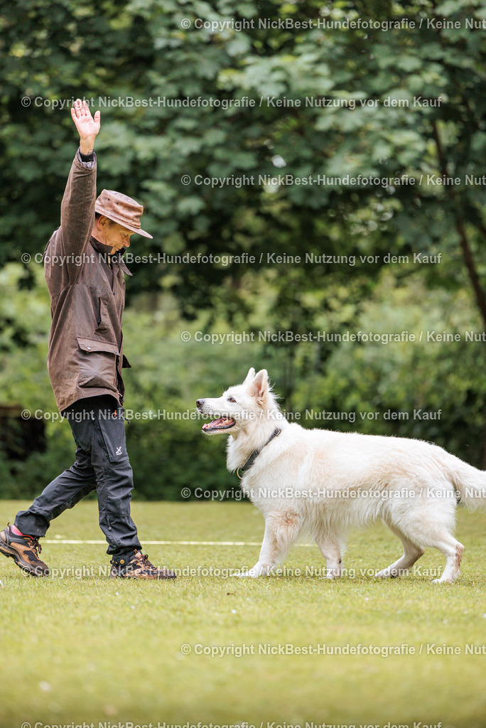 RO-Blumenthal-2026-Nickbest-Hundefotografie-1983 | Dein Hund! Dein Moment! Deine Erinnerungen! Hundefotografie in Bremen Blumenthal. Ich fange die besonderen Momente deines Vierbeiners ein – ob Indoor mit Blitzanlage oder in der freien Natur. Sicher dir dein Moment und dein Termin für eure Erinnerungen.
