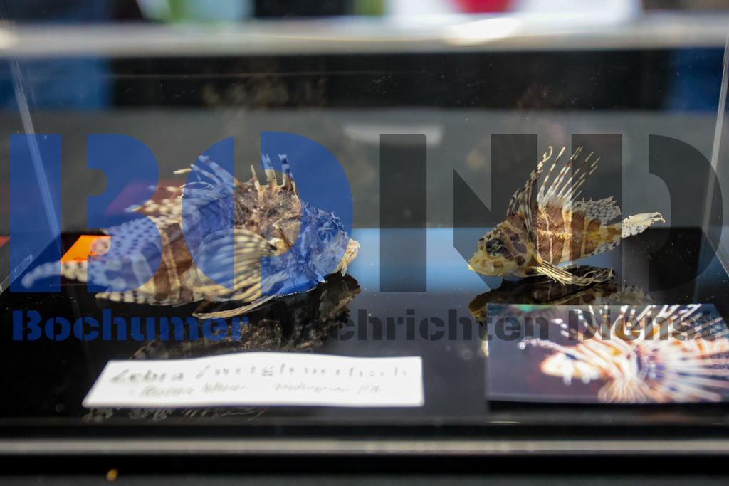 SES_INSBOC20250316-10 | bond - Realisiert mit Pictrs.com