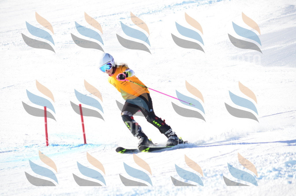 C5822 | holidayphoto