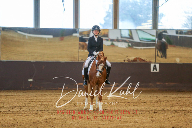 IMG_7856 | Turniersportfotografie; Pferdefotografie; Dressurfotografie