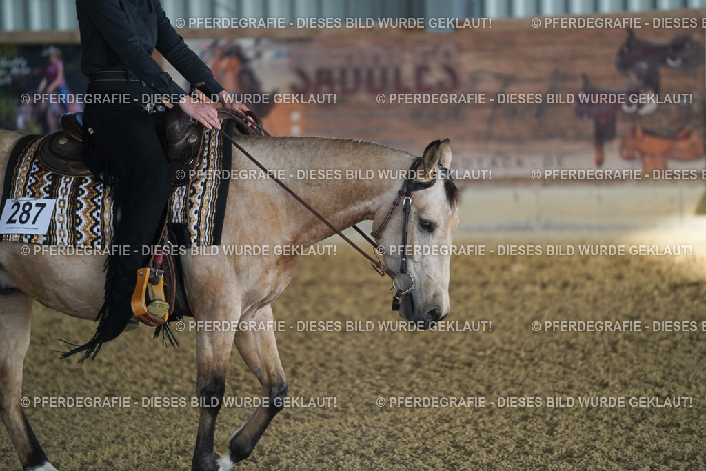 DSC07816 | Pferdegrafie