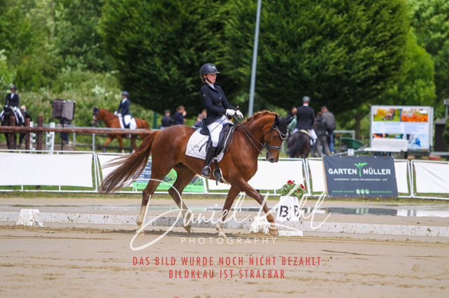 DKP40688 | Turniersportfotografie; Pferdefotografie; Dressurfotografie