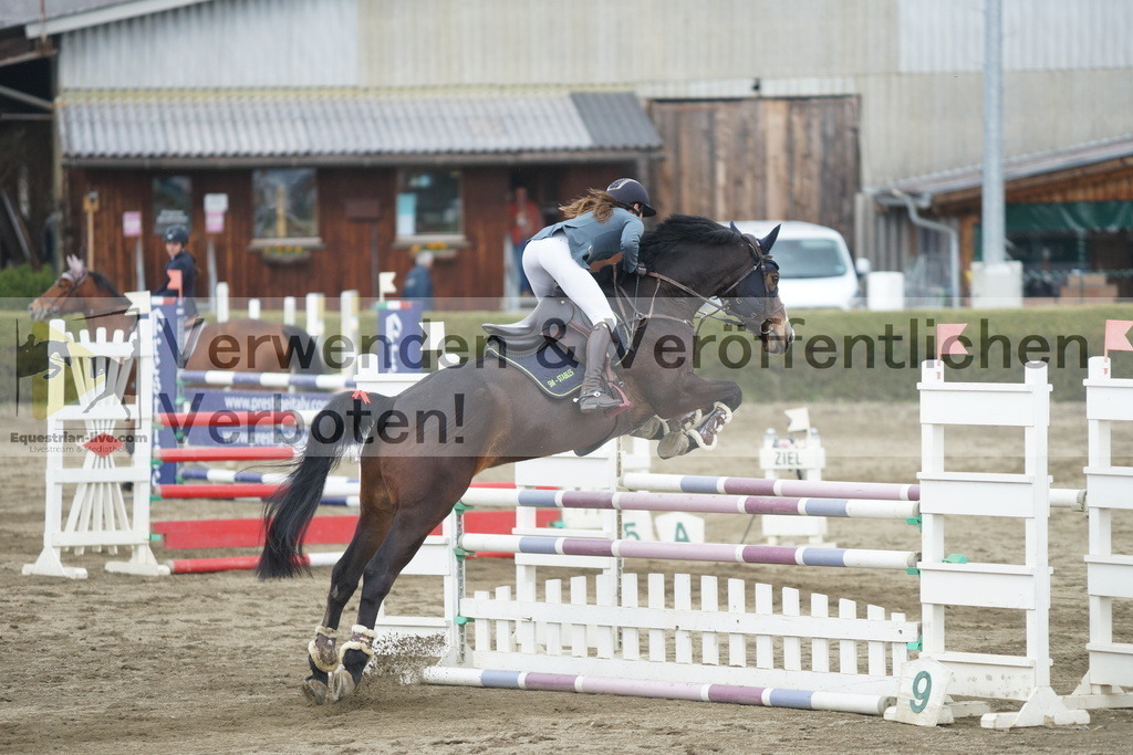 DSC01307 | equestrian-live-com