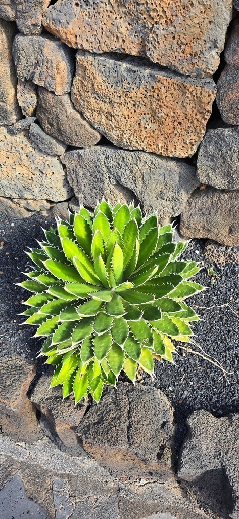 20241204_120719 | Heilkarten - Realisiert mit Pictrs.com