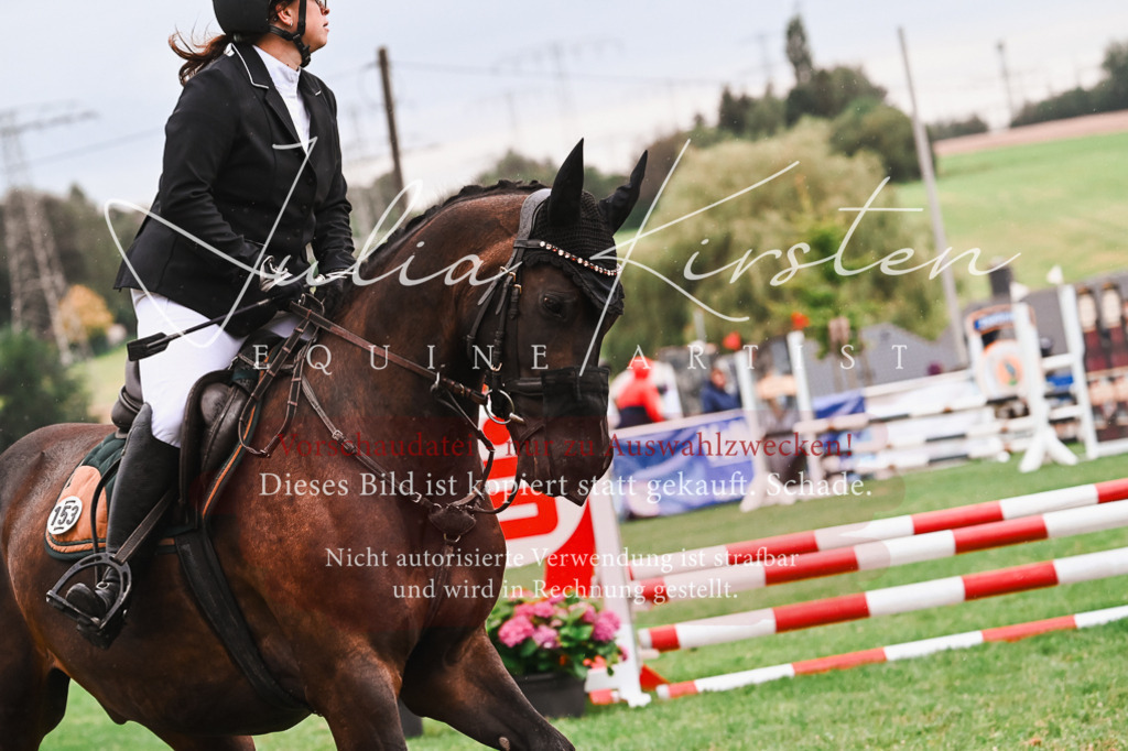 DSC_6454 | Pferde- und Turnierfotografie in Westsachsen. Pferdeportraits, Auftragszeichnungen und intuitive Kunst.