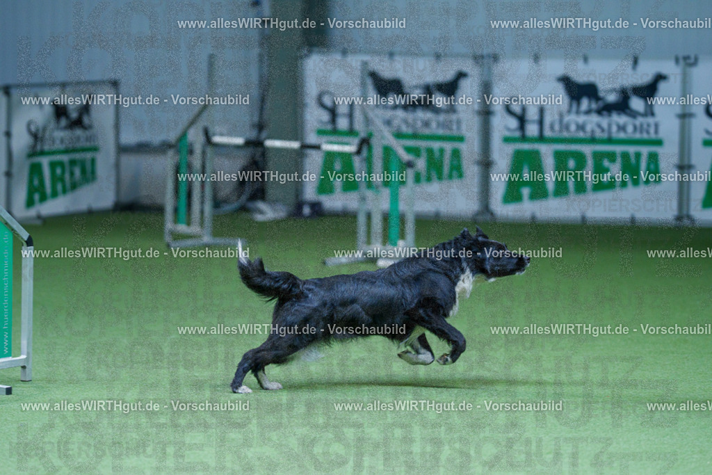 @allesWIRTHgut_Tierfotografie - www.allesWIRTHgut.de - 2604251210-7R500978 | Professionelle Tierfotografie in Mönchengladbach von Daniel Wirth (allesWIRTHgut). Liebevolle & natürliche Bilder von Hunden & Katzen für unvergessliche Erinnerungen.