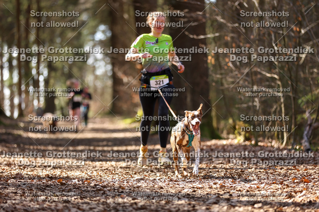 Dog Paparazzi - VCC26-1300 | Dog Paparazzi Jeanette Grottendiek Fotografie & Videografie - Realisiert mit Pictrs.com