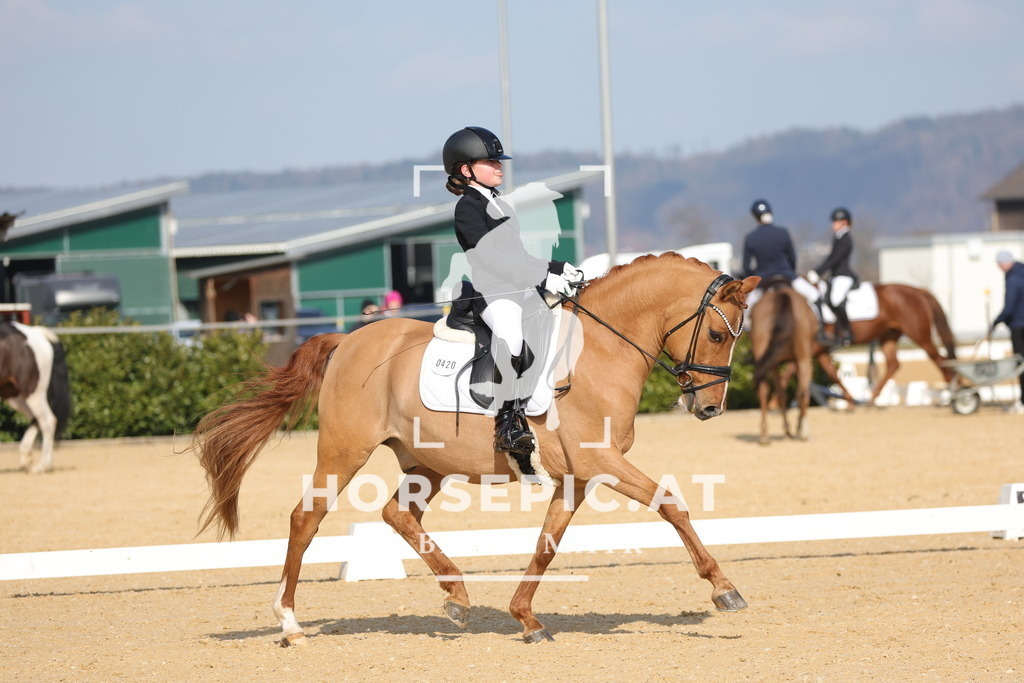 0P6A6255 | Willkommen bei Brunnmayr - Design & Fotografie – Ihrem Spezialisten für Reitturniere und Pferdeveranstaltungen in Oberösterreich, Salzburg und Bayern! Seit über 17 Jahren sind wir leidenschaftlich dabei.
