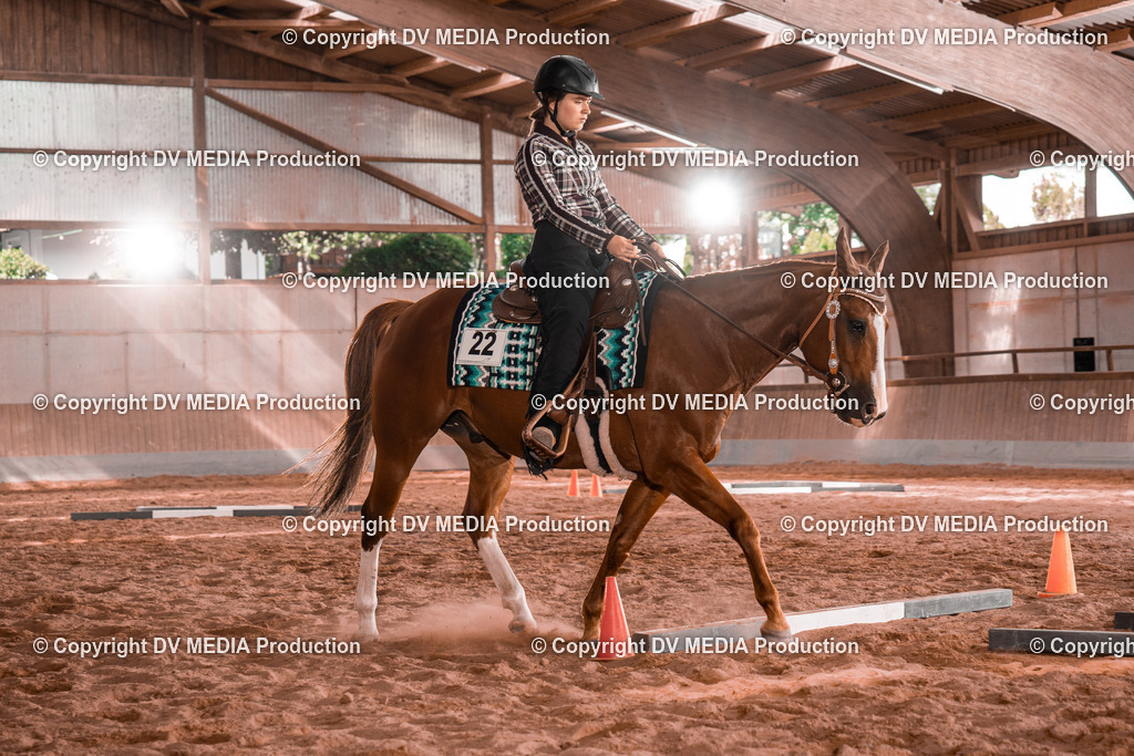 NE200252 | dv-media-shop - Realisiert mit Pictrs.com