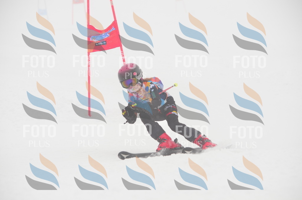 C1295 | holidayphoto