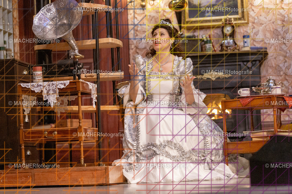 331_MFL-2025 | Portraitbilder von Regisseur; Darsteller; Techniker; Maske; Kostüme; Chor; Musiker; Bilderserie der Generalprobe und der Premierenvorstellung, Szenenbilder; Ausdrucksstudien; Bühnenüberblick; Bühnenkulissen; Pressefotos inkl. Redaktionsfoto Darstellergruppe.