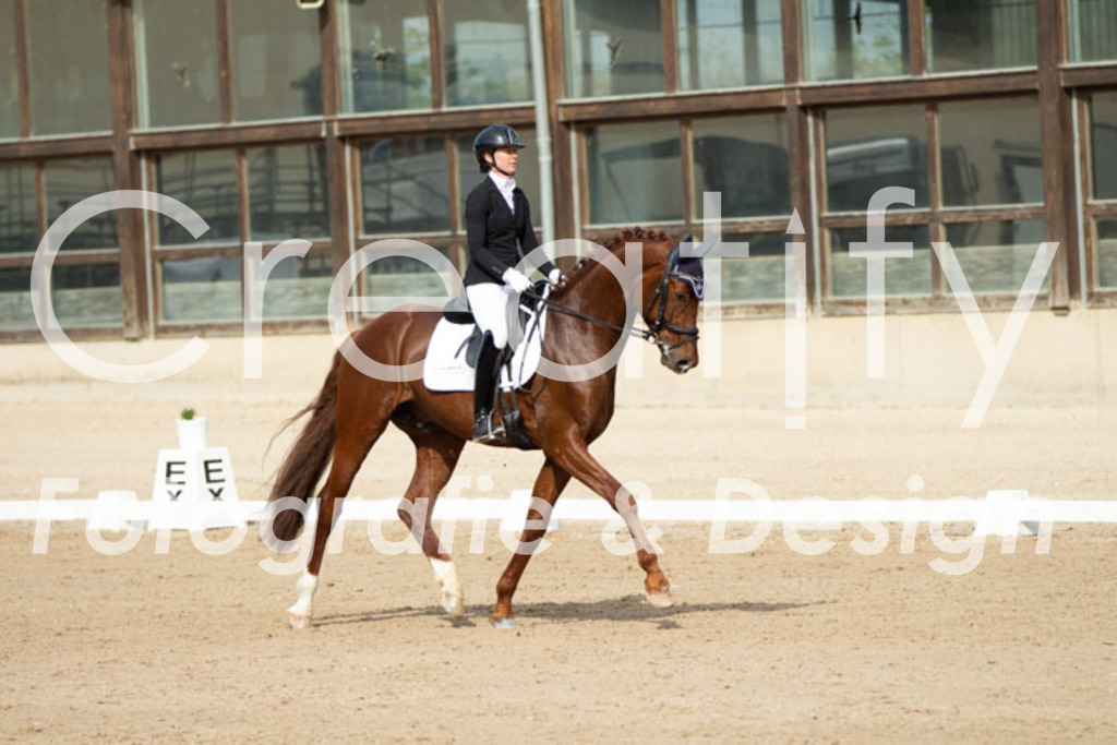 IMG_1027 | Creatify Fotografie