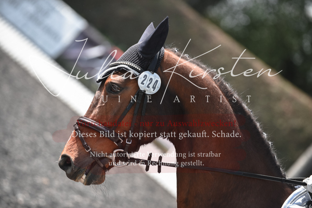 20230513_JK-Röhrsdorf-14-331 | Pferde- und Turnierfotografie in Westsachsen. Pferdeportraits, Auftragszeichnungen und intuitive Kunst.