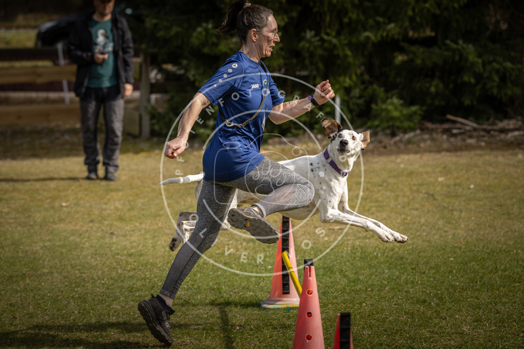 Pfotenfotografie_DV3A9516 | Hundefotografie, Tierfotograf, Pfotenfotografie, Fotoshooting Hund, Hunde Portrait, Hundesport, Hundeportraits, Heideshooting, Hunde, Sportfotograf, Hundefotograf, Turnierhundsport, THS,  - Realisiert mit Pictrs.com