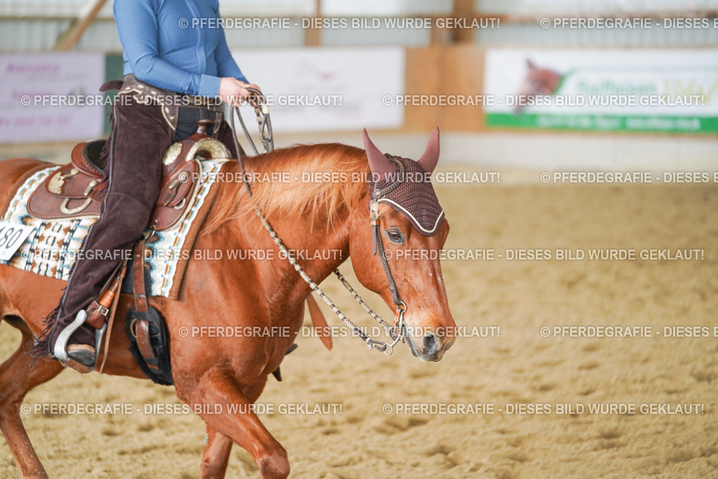 DSC01720 | Pferdegrafie