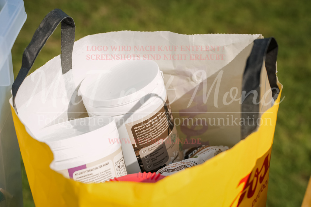 20250928_Hunderennen-725 | MuT (Mensch und Tier) mit Mona - Fotografie und Tierkommunikation - Realisiert mit Pictrs.com