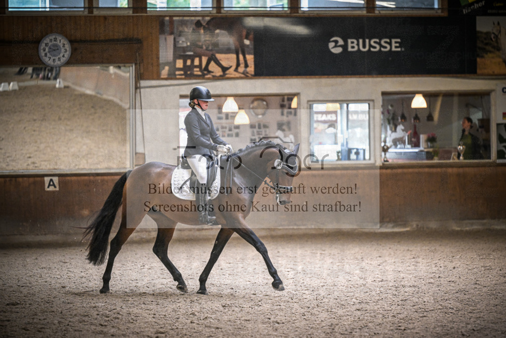 DOS_1233 | Entdecke hochwertige Reitturnierfotos von Foto Oger. Professionell, emotional und authentisch – jetzt Lieblingsmomente im Shop bestellen.Deutschlandweite Turnierfotografie. - Realisiert mit Pictrs.com