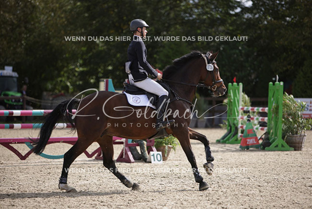 1J2A4341Melvin Henze_ Miss Colman 2_ Kn739_ Havekost | Foto- und Videografie für alles rund ums Pferd. Hochwertige Bilder und Videos vom Spring- und Dressurreiten, Voltigieren & mehr. Jetzt aktuelle Veranstaltungen und Preise im Shop ansehen. - Realisiert mit Pictrs.com