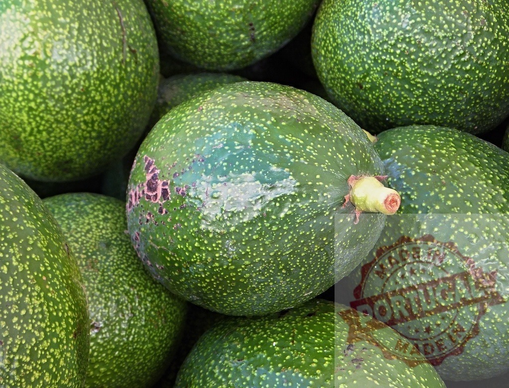 Avocados ripe organic fruit pile preparing healthy meal | Close up showing many fresh green avocados piled together - Realized with Pictrs.com
