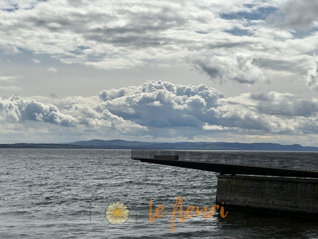 7FBFD628-3073-4789-91E6-7D29B0CECE75 | Dies ist der Shop von Florian Blum - le fleuri. Langenthal, Bern, SchweizSie können hier meine oder ihre eigenen Fotos als Fotoprodukte kaufen. Tassen, Schlüsselanhänger, Taschen etc. können Sie hier gestalten.  - Realisiert mit Pictrs.com