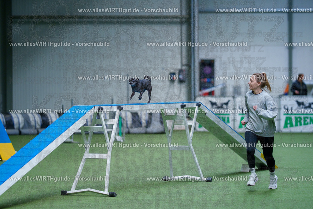 @allesWIRTHgut_Tierfotografie - www.allesWIRTHgut.de - 2604260918-7R507281 | Professionelle Tierfotografie in Mönchengladbach von Daniel Wirth (allesWIRTHgut). Liebevolle & natürliche Bilder von Hunden & Katzen für unvergessliche Erinnerungen.