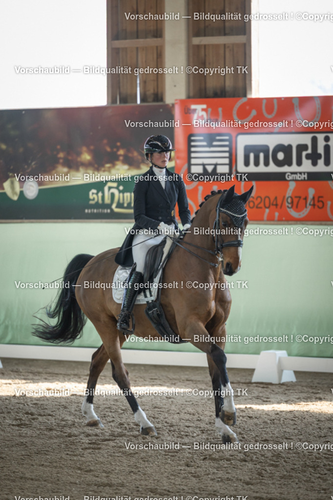 _D5A9826 | Emotionale Pferde- & People-Fotografie rund um Heidelberg, Leimen & Umgebung. Natürliche Fotos von Pferd, Mensch & Familie. Jetzt Termin sichern!