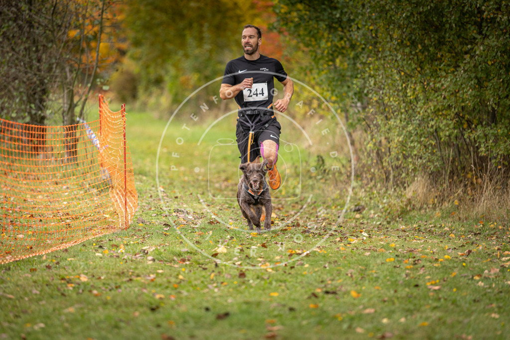 Pfotenfotografie_DV3A4248 | Hundefotografie, Tierfotograf, Pfotenfotografie, Fotoshooting Hund, Hunde Portrait, Hundesport, Hundeportraits, Heideshooting, Hunde, Sportfotograf, Hundefotograf, Turnierhundsport, THS,  - Realisiert mit Pictrs.com