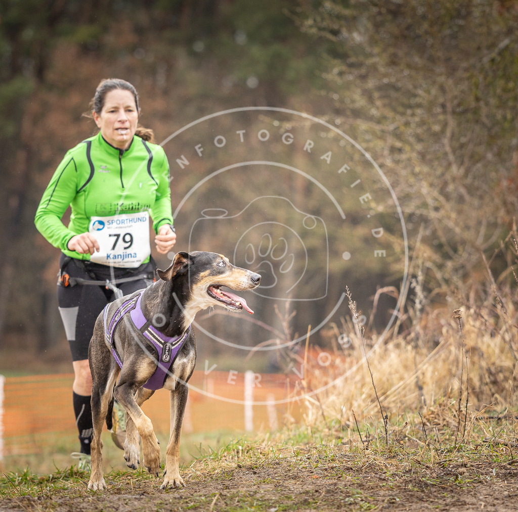DV3A0323 | Hundefotografie, Tierfotograf, Pfotenfotografie, Fotoshooting Hund, Hunde Portrait, Hundesport, Hundeportraits, Heideshooting, Hunde, Sportfotograf, Hundefotograf, Turnierhundsport, THS,  - Realisiert mit Pictrs.com