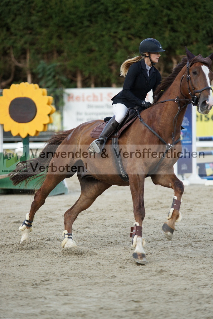 DSC01684 | equestrian-live-com