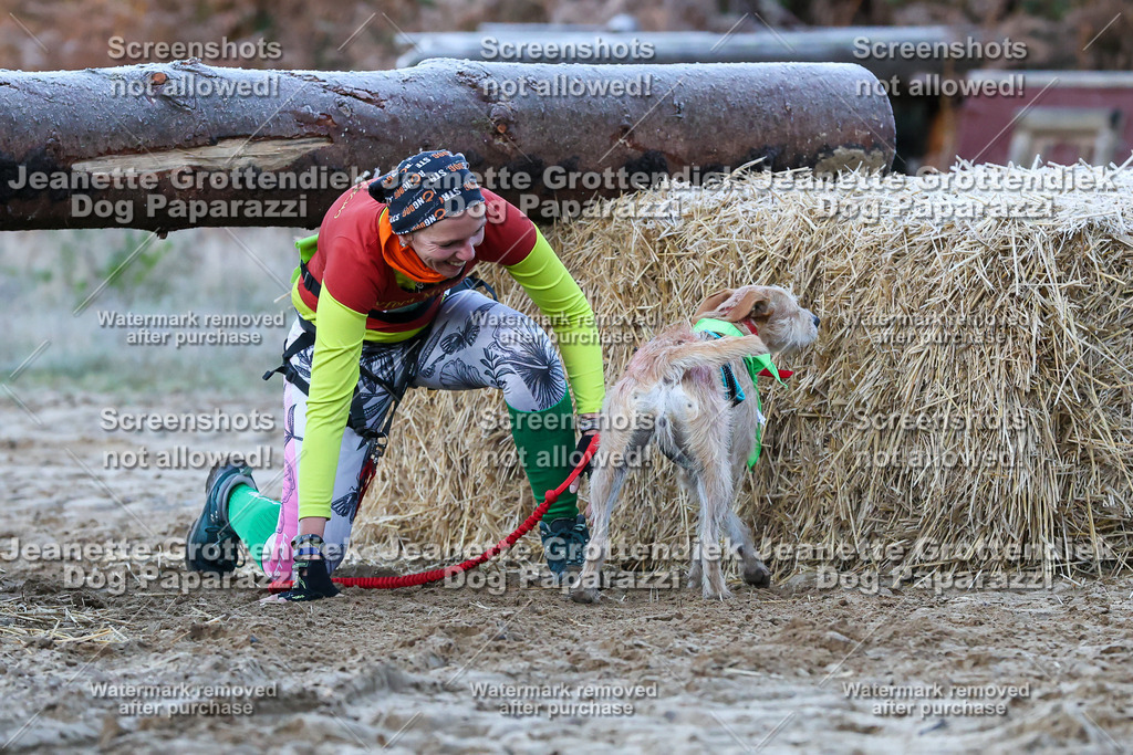 Dog Paparazzi - Strongdog 10-25-241 | Dog Paparazzi Jeanette Grottendiek Fotografie & Videografie - Realisiert mit Pictrs.com