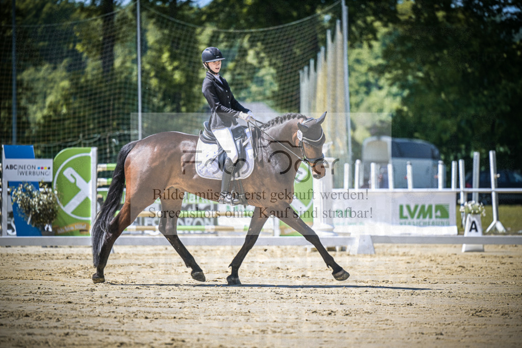DOS_8144 | Entdecke hochwertige Reitturnierfotos von Foto Oger. Professionell, emotional und authentisch – jetzt Lieblingsmomente im Shop bestellen.Deutschlandweite Turnierfotografie. - Realisiert mit Pictrs.com