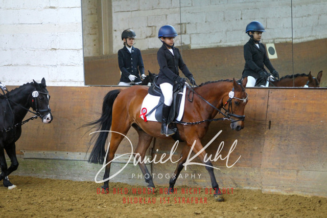 DKP43803 | Turniersportfotografie; Pferdefotografie; Dressurfotografie