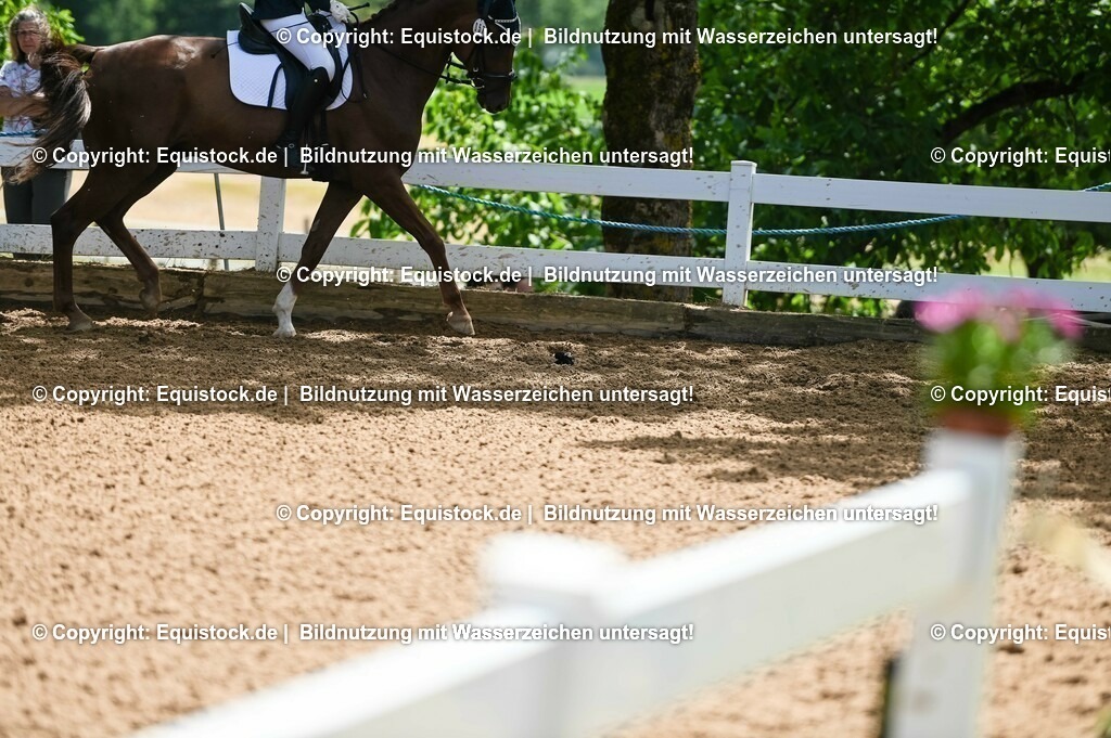 20230716_03_Dressurprfg. Kl.L - Tr._0309 | equistock