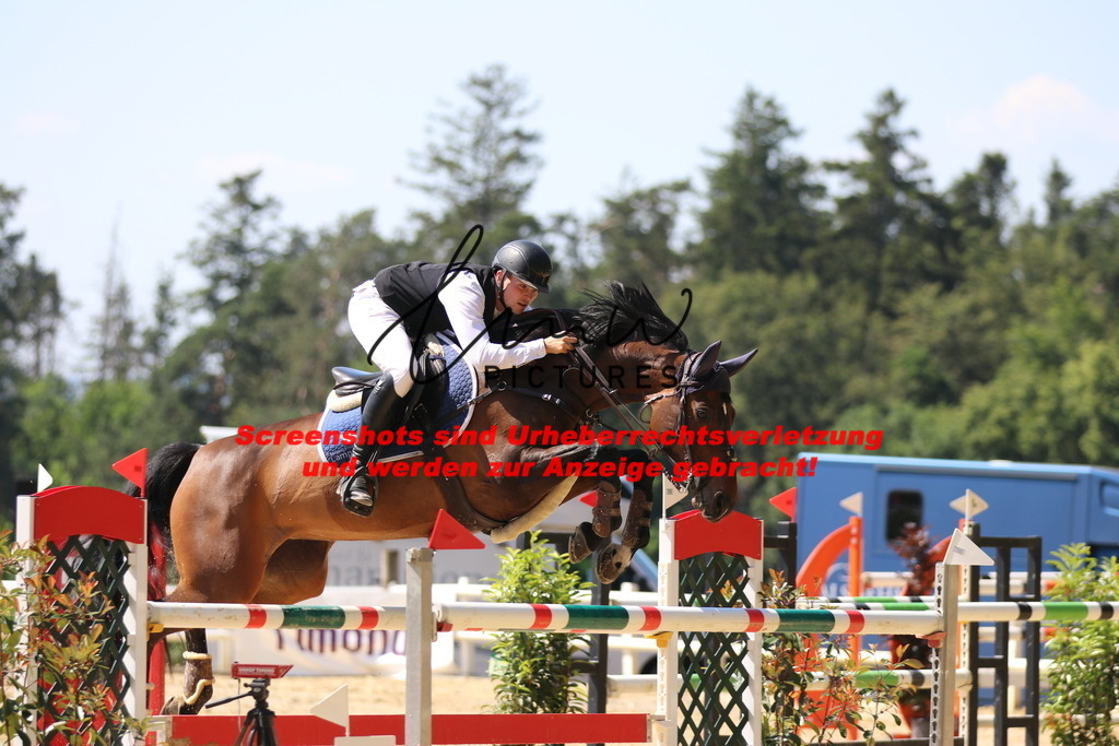 IMG_2794 | lmwpictures - Realisiert mit Pictrs.com