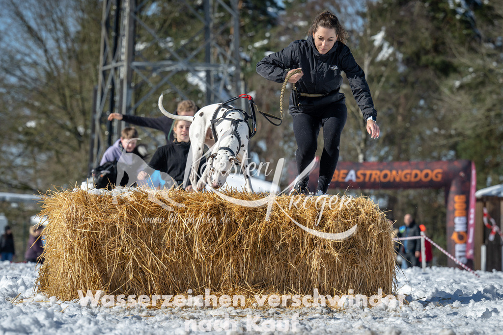 1201_ZZ91758-4 | kk-dogfotos