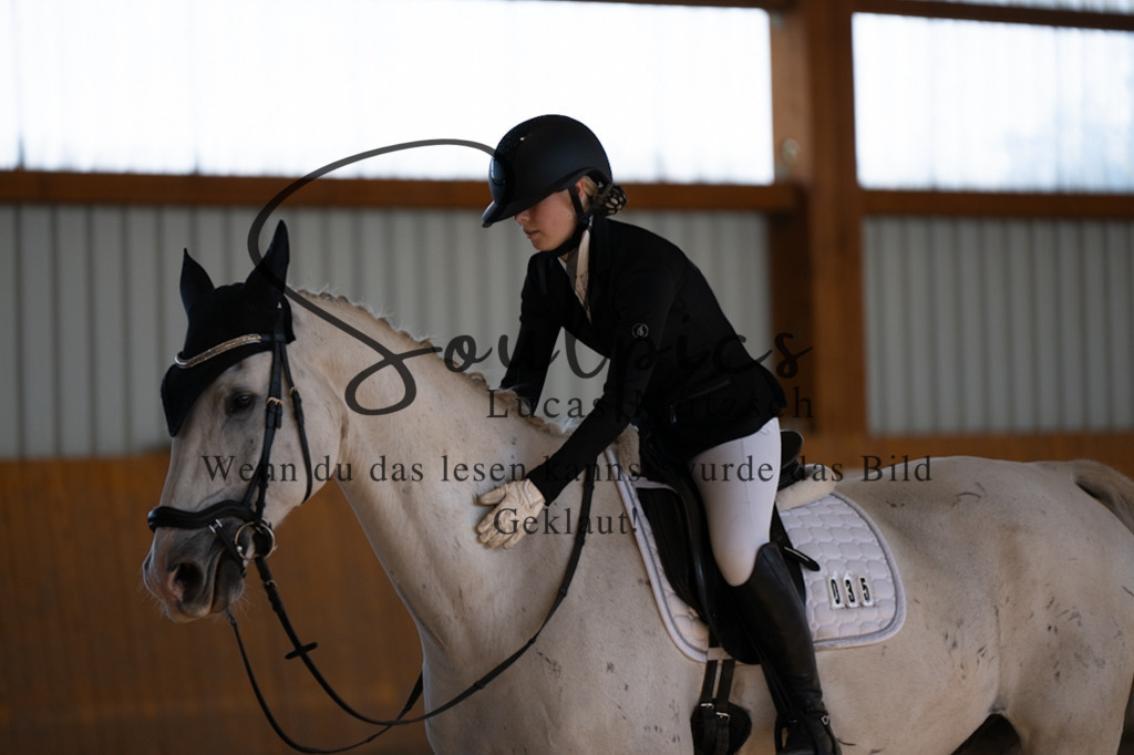 A7V01975 | Pferdefotograf