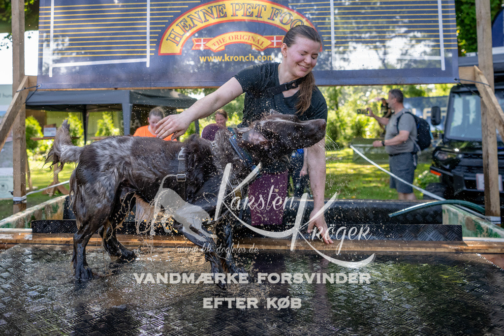 1542_ZZ92950 | kk-dogfotos